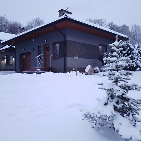 Domek Nad Zalewem Janów Podlaski Kültér fotó